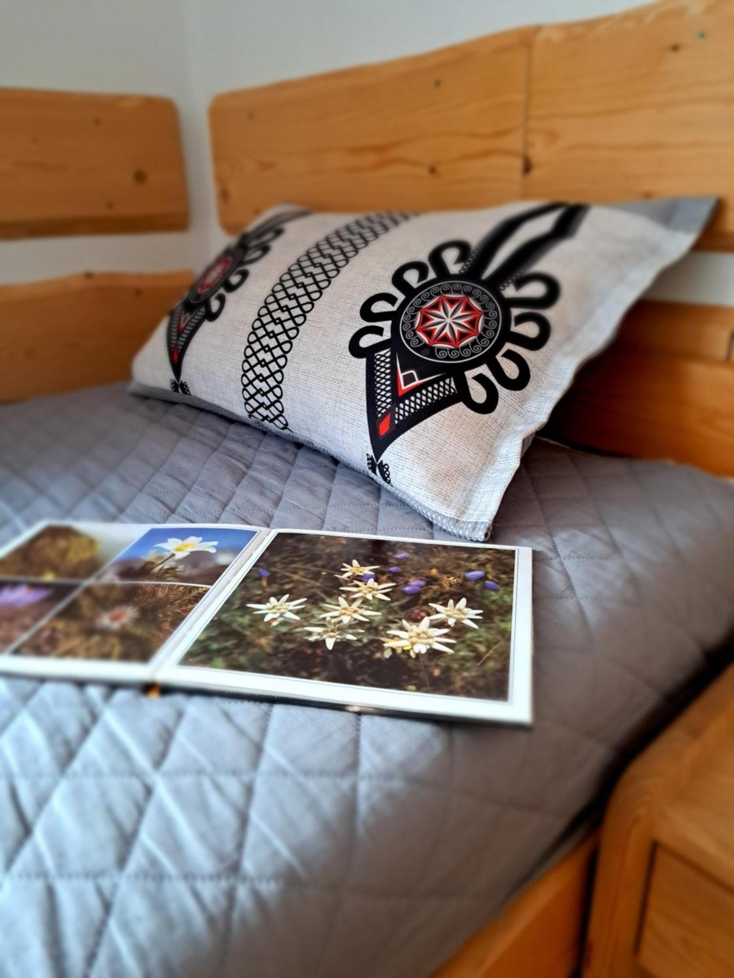 Przy Szlaku Zakopane Centrum Pokoje & Apartamenty Luaran gambar